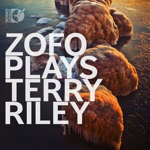 Riley / Zofo - Plays Terry Riley  CD